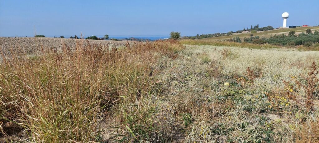 Grundstück 4050qm Trilofos