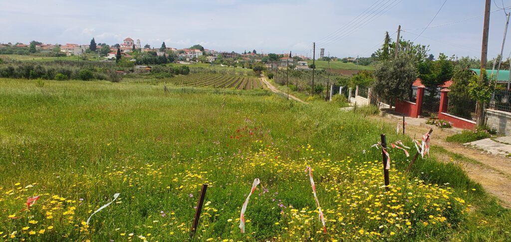 ΟΙΚΟΠΕΔΟ 348τμ ΣΕ ΝΕΑ ΗΡΑΚΛΕΙΑ 43000ευρώ